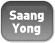 Saang Yong szerviz logo
